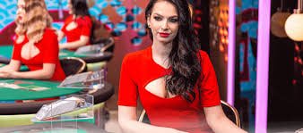 bahi999-এ নিবন্ধন ও শুরু করার ধাপসমূহ